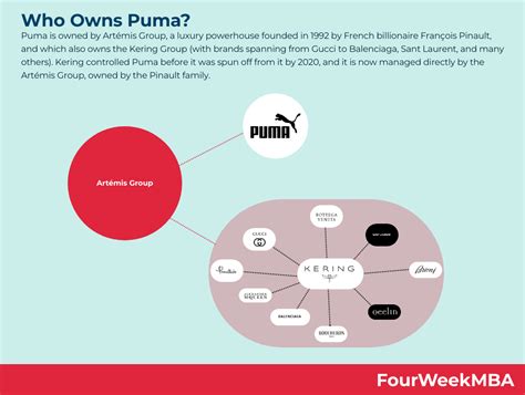 who owns puma football